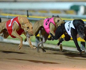 The Beckley Centre - Accommodation Cooktown 0