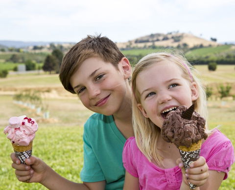 Yarra Valley Chocolaterie & Ice Creamery - Accommodation Cooktown 6
