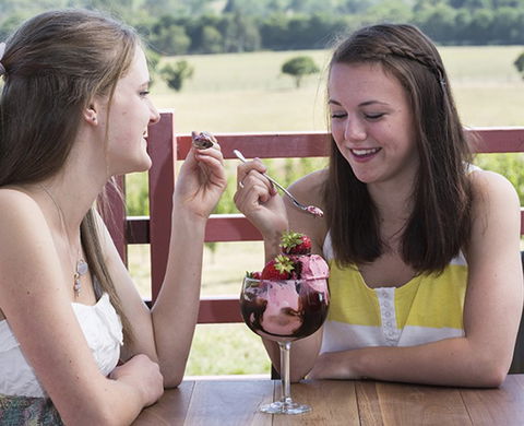 Yarra Valley Chocolaterie & Ice Creamery - Accommodation Cooktown 8