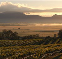 Montara Wines - Accommodation Cooktown