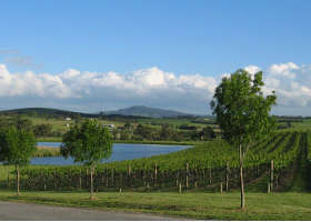 Yarrawood Estate - Accommodation Cooktown 0