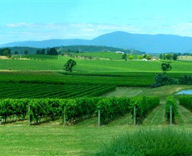 Acacia Ridge Vineyard - Accommodation Cooktown 0