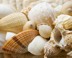 Anglesea Beach Club - Accommodation Cooktown 0