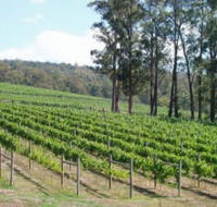 Piedmont Vineyard - Accommodation Cooktown