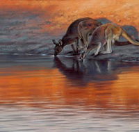 Steve Morvell Wildlife Art - Accommodation Cooktown