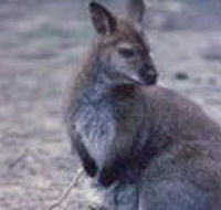 Churchill National Park