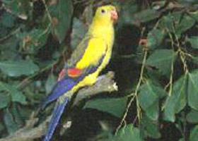 Nhill VIC Accommodation Cooktown