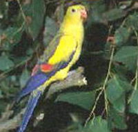 Lake Hindmarsh Reserve - Accommodation Cooktown