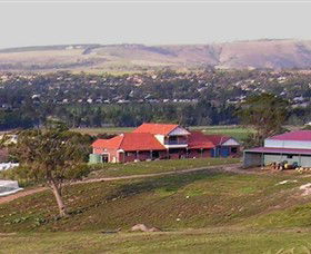 Bacchus Hill Winery - Accommodation Cooktown 0