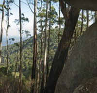 Gulaga National Park - Accommodation Cooktown