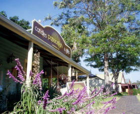 Passionfish Candles - Accommodation Cooktown 0