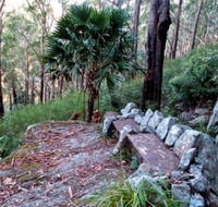 Wodi Wodi Walking Track - Accommodation Cooktown