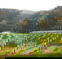 Tilba Valley Wines - Accommodation Cooktown