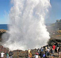 Kiama Blowhole - Accommodation Cooktown