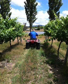 Heifer Station - Accommodation Cooktown 2