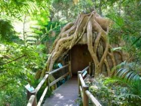 Cedar Creek Estate Vineyard And Winery - Accommodation Cooktown 1