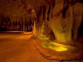 Cedar Creek Estate Vineyard And Winery - Accommodation Cooktown 2