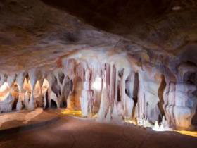 Cedar Creek Estate Vineyard And Winery - Accommodation Cooktown 3