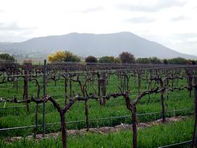Remarkable View Wines - Accommodation Cooktown 1
