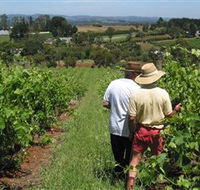 Sir Paz Estate - Accommodation Cooktown