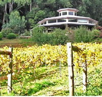 Peveril Vineyard/Beechy Berries - Accommodation Cooktown