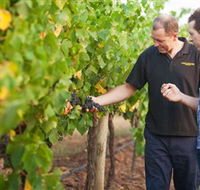 Fratin Brothers Vineyard - Accommodation Cooktown