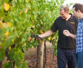 Fratin Brothers Vineyard - Accommodation Cooktown 0