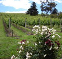 Pembroke Estate Vineyard - Accommodation Cooktown