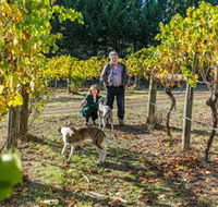 Little River Wines of Taggerty - Accommodation Cooktown