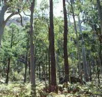 Cathedral Range State Park - Accommodation Cooktown