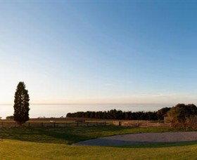 Jack Rabbit Vineyard - Accommodation Cooktown 3