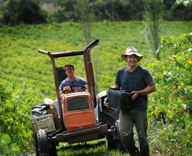 Kellybrook Winery, Kelly Brothers Cider & Riders Brew Co. - Accommodation Cooktown 0