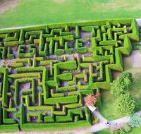 Hedgend Maze and Healesville Laser Sport - Accommodation Cooktown
