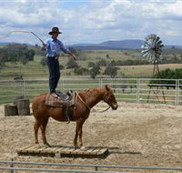 Boggy Creek Shows - Accommodation Cooktown