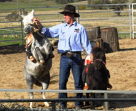 Boggy Creek Shows - Accommodation Cooktown 2