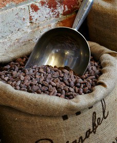 Bright Chocolate - Accommodation Cooktown 5