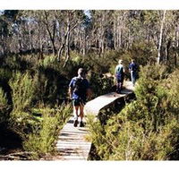 Hume and Hovell Walking Track - Henry Angel Trackhead - Accommodation Cooktown