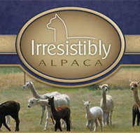 Marchmont Park Alpacas - Accommodation Cooktown