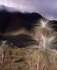 Bluff Knoll, Stirling Range National Park - Accommodation Cooktown 3