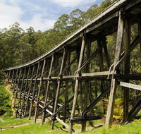 Noojee Trestle Bridge - Accommodation Cooktown
