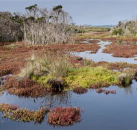 French Island National Park - Accommodation Cooktown