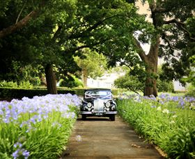 Queens Park, Toowoomba - Accommodation Cooktown 3