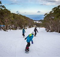 Mt Baw Baw Alpine Resort - Accommodation Cooktown