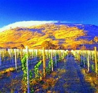 Surveyors Hill Winery - Accommodation Cooktown