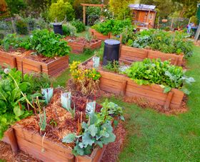 Ungulla Country Garden - Accommodation Cooktown 2