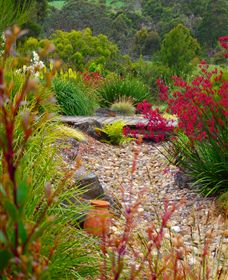 Ungulla Country Garden - Accommodation Cooktown 1