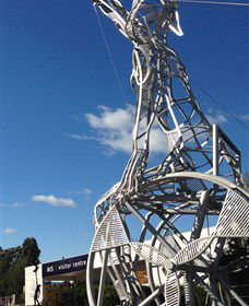 Australian Institute Of Sport (AIS) - Accommodation Cooktown 0