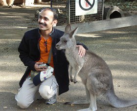 Activity Tours Australia - Accommodation Cooktown 3