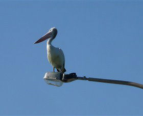 Bailey's Sydney - Tours For People Who Don't Like Tours - Accommodation Cooktown 3