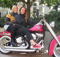 Wild Ride Harley and Motorcycle Tours - Accommodation Cooktown